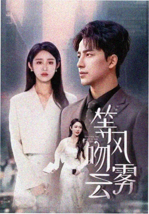 短剧《风起长街》海报